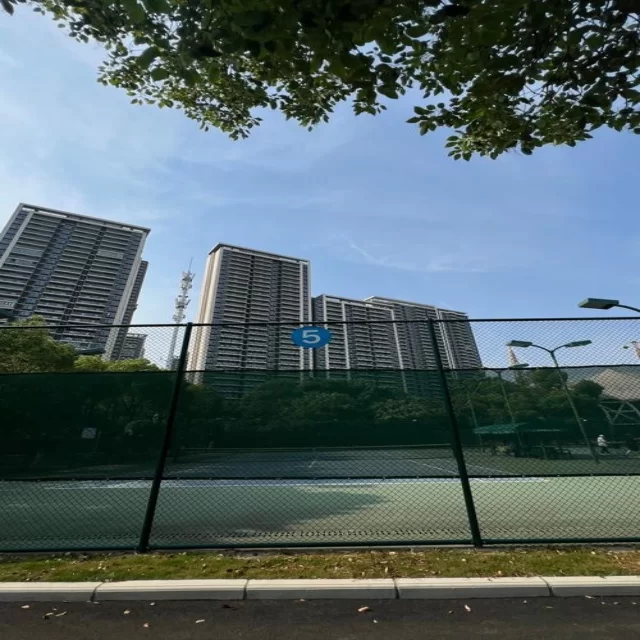 训练备战新闻聚焦：全新阵容策略深度解析 - crownsports